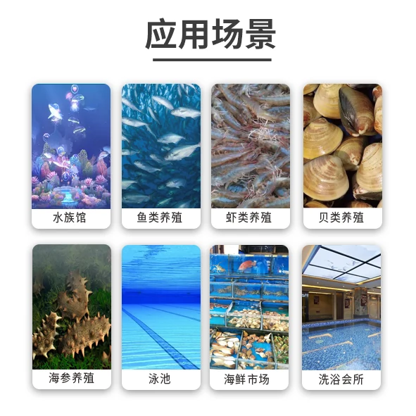 微信图片_20241230192201.png